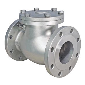 Check valve